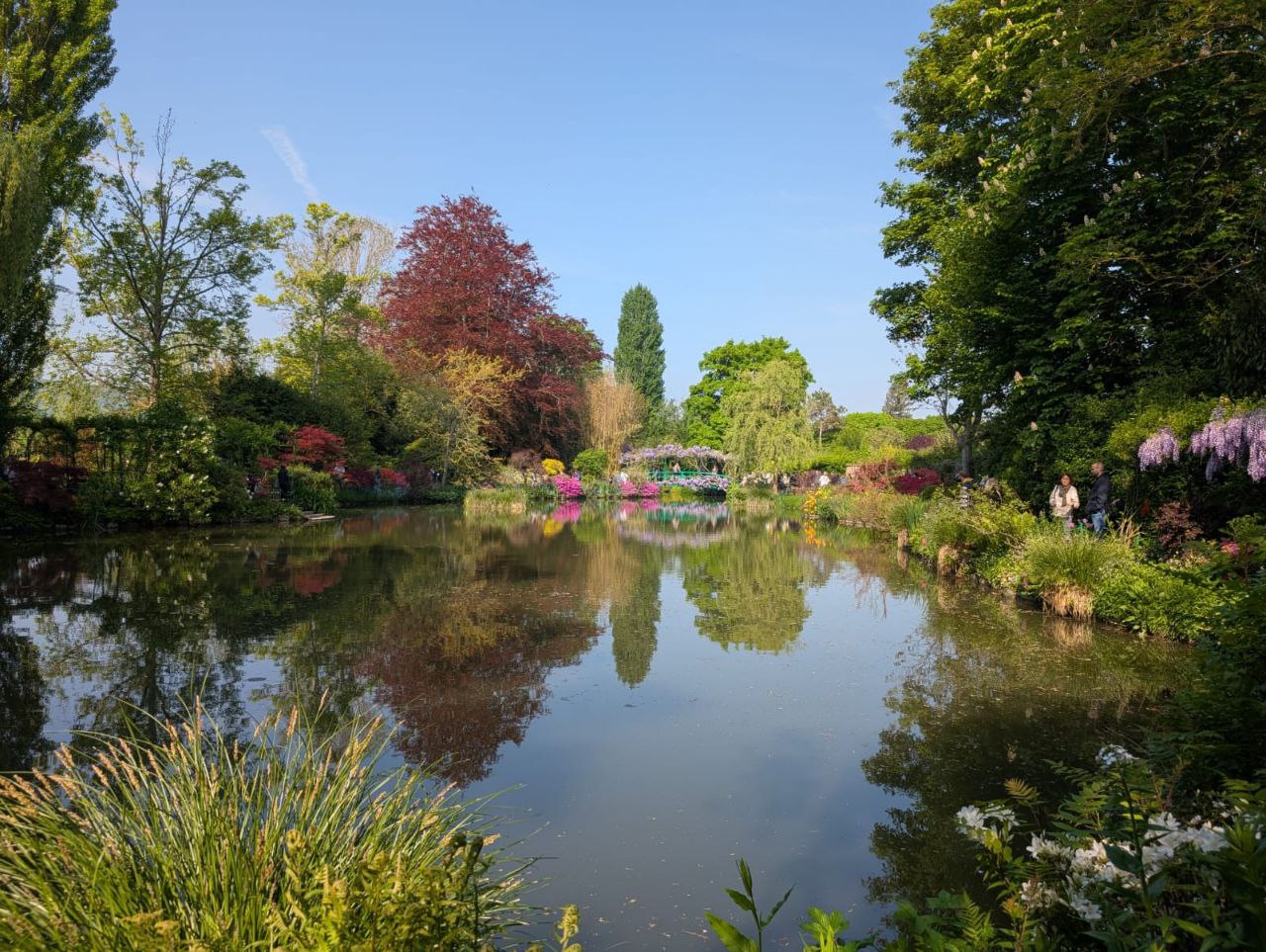 Giverny: La Experiencia Privada de los Jardines de Monet