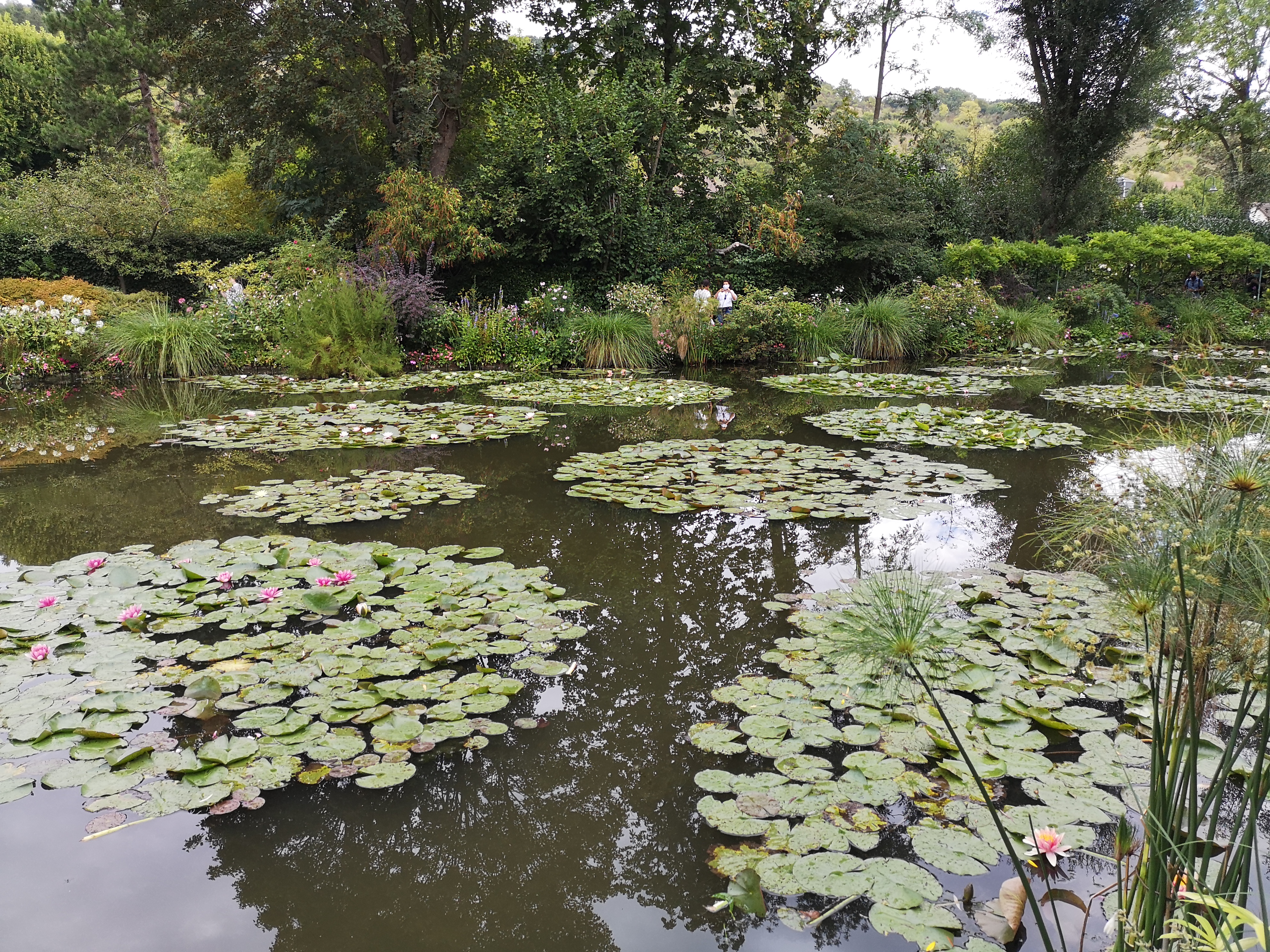 Giverny: La Experiencia Privada de los Jardines de Monet