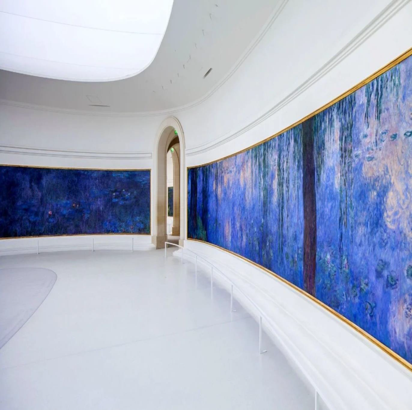 The Orangerie Museum: Monet's Water Lilies & Modern Art Experience